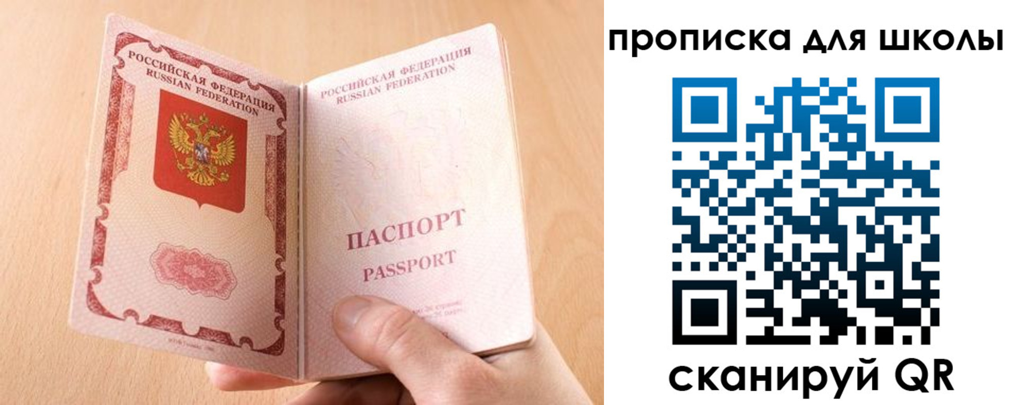 прописка в Оленегорске